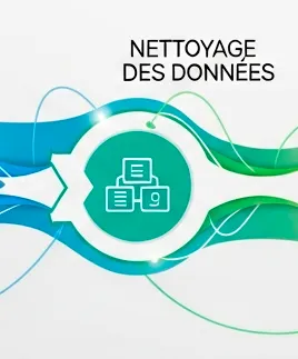 Nettoyage et structuration des données d'affaires